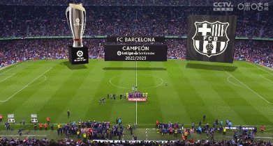 尤文官方：弗拉霍维奇成功接受了左内收肌腱撕脱修复手术