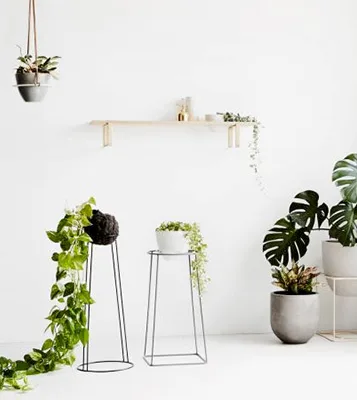 Últimas Noticias - 麻将胡了
